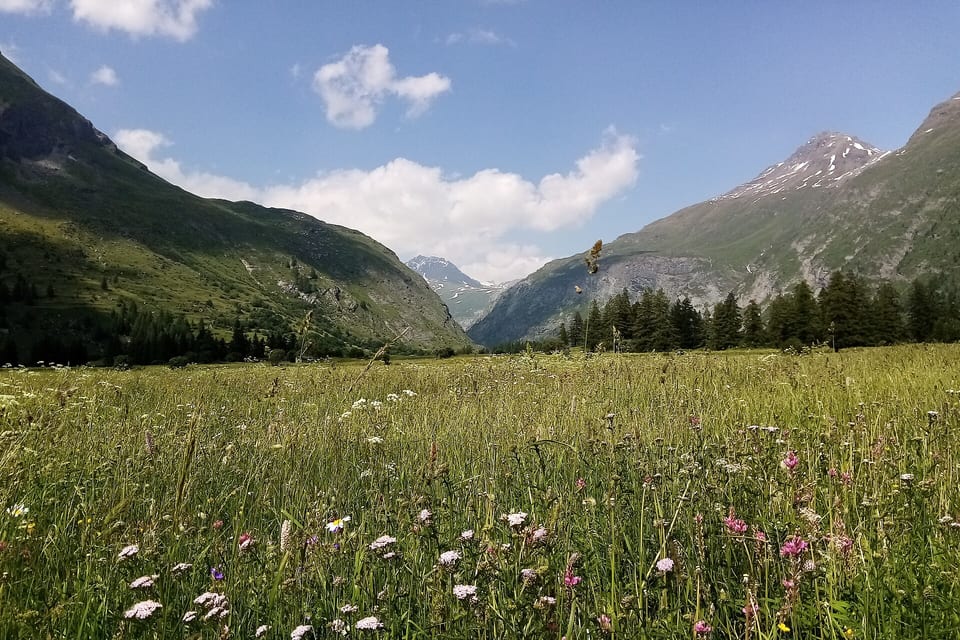 Bessans — view of the resort